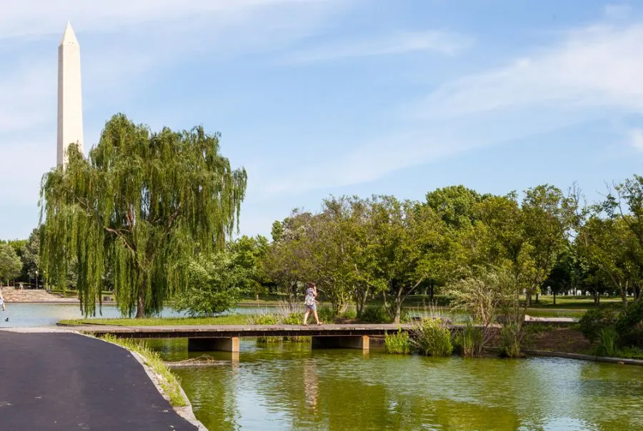 Constitution Gardens là một khoảng lặng xanh mát nằm ngay trong khu vực National Mall