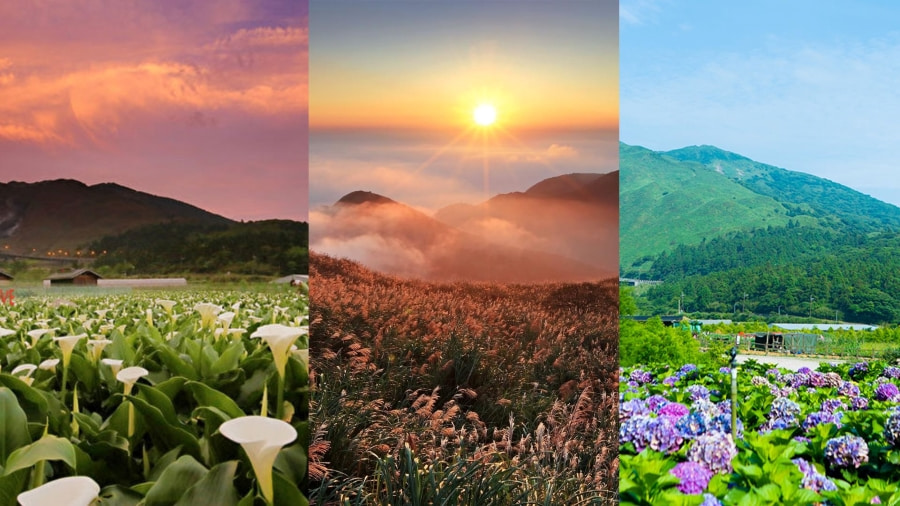 Công viên Quốc gia Dương Minh Sơn (Yangmingshan National Park) - Oasis xanh giữa lòng đô thị