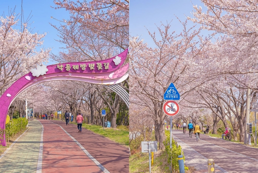 Công viên sinh thái nằm gần bờ sông Nakdong