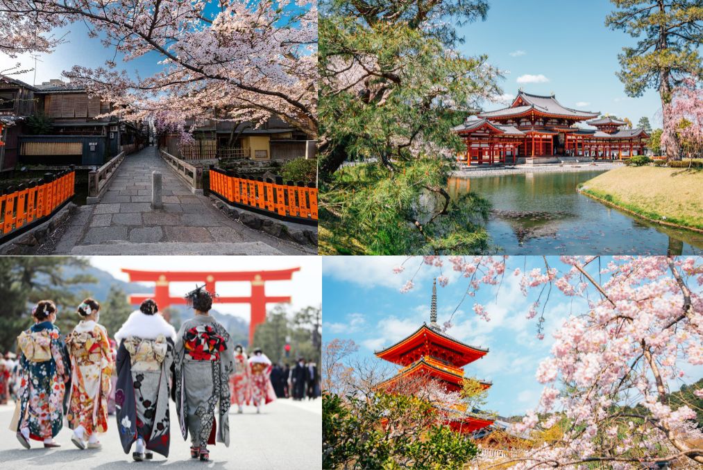 Khung cảnh rực rỡ sắc xuân tại Kyoto cổ kính