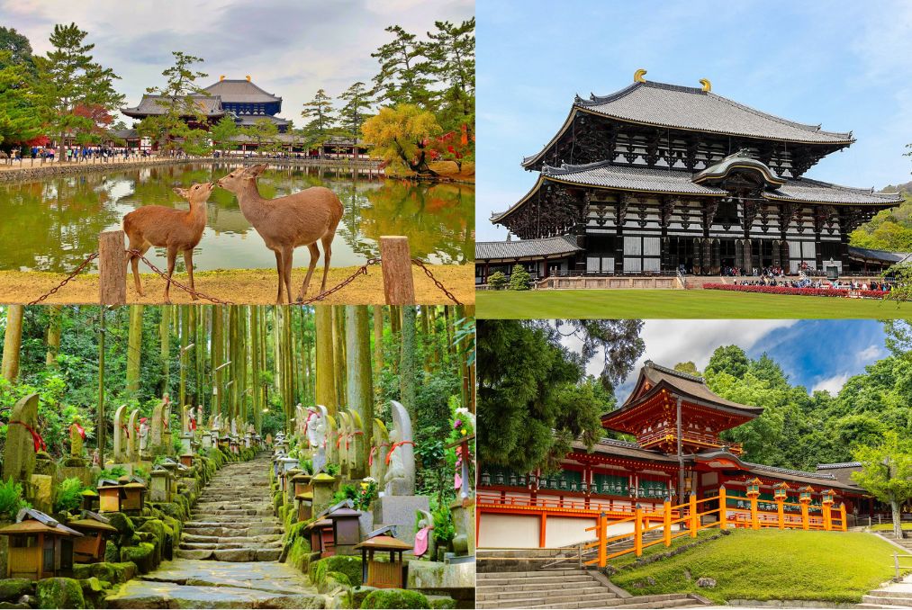 Với bẻ đẹp bình yên, Nara là một mảnh ghép không thể thiếu trong hành trình du xuân nước Nhật