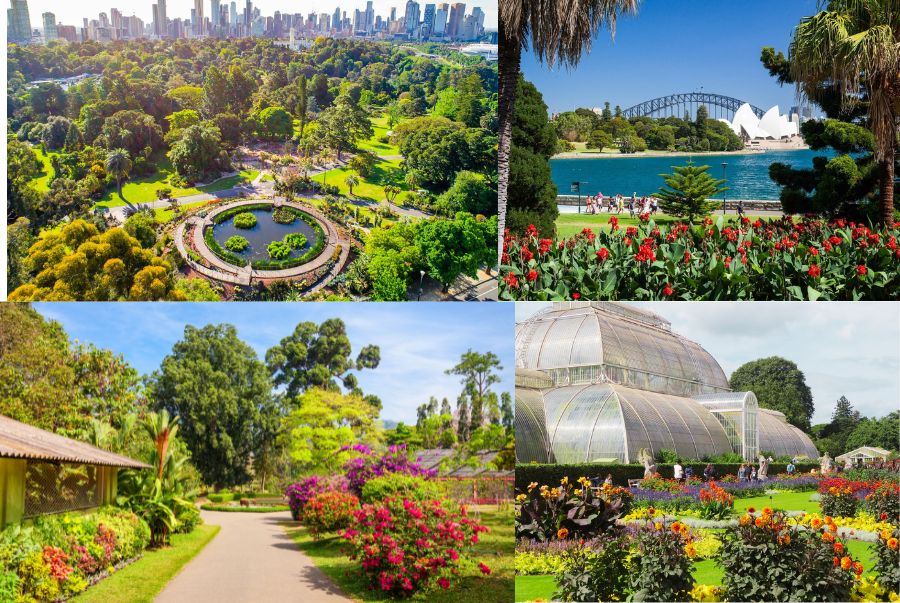 Royal Botanic Gardens là một trong những khu vườn thực vật đẹp nhất thế giới 