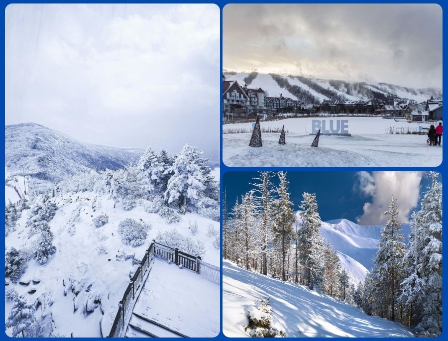 Khung cảnh ngập tràn tuyết trắng mỗi khi mùa đông nước Úc gõ cửa