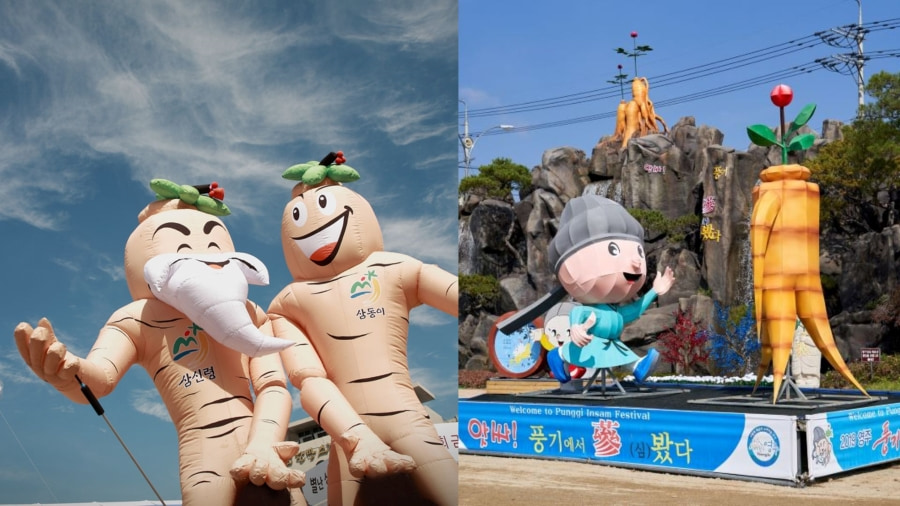 Lễ hội Hồng sâm Geumsan là một trong những lễ hội độc đáo, tập trung vào nhân sâm – loại thảo dược quý tại Hàn Quốc