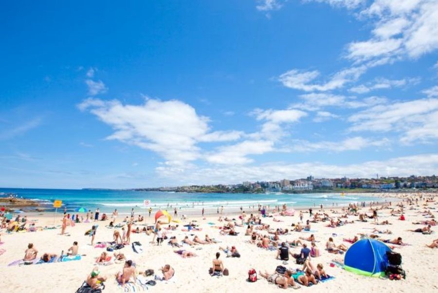 Tận hưởng nắng xuân rực rỡ bên bờ biển cát trắng