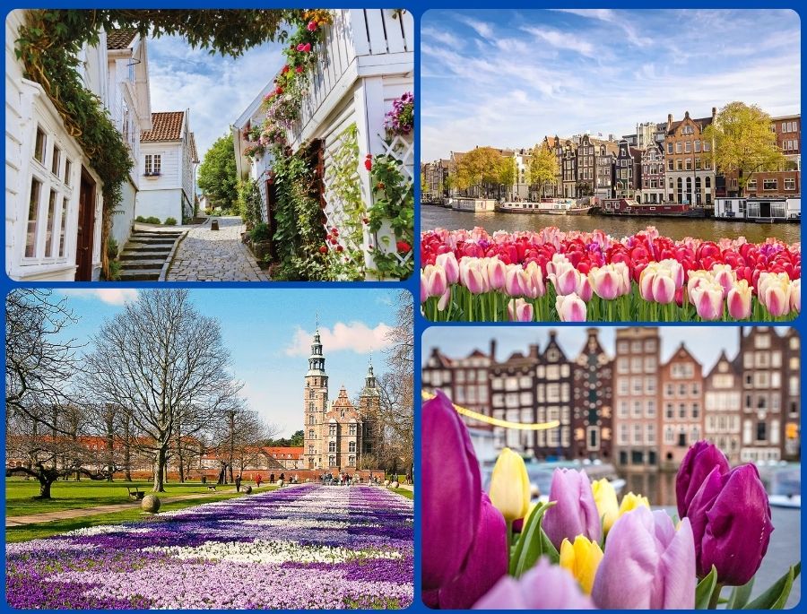 Mùa xuân Bắc Âu trở nên rực rỡ với muôn ngàn sắc hoa khoe thắm