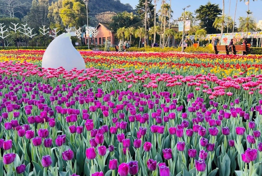 Lễ hội hoa xuân Đài Bắc là sự kiện tái hiện mùa xuân rực rỡ với hàng trăm loài hoa đang khoe sắc