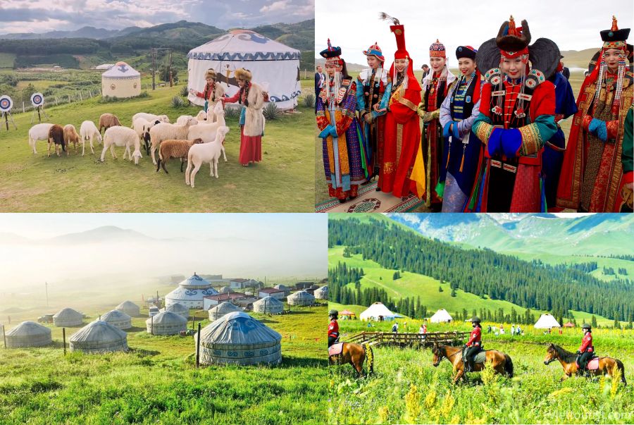 Các trải nghiệm hấp dẫn dành riêng cho du khách khi đi du lịch Mông Cổ