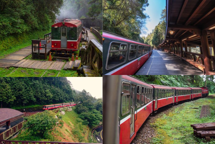 Alishan Forest Railway – Tuyến đường sắt xuyên rừng nổi tiếng của Đài Loan