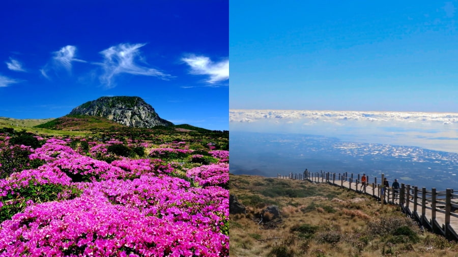 Núi Hallasan không chỉ là ngọn núi cao nhất Hàn Quốc mà còn là một biểu tượng tự hào của đảo Jeju