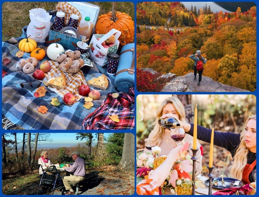 Các hoạt động dã ngoại và picnic giữa rừng lá mùa thu