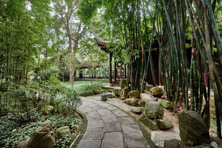 Trung tâm bảo tồn gấu trúc Thành Đô sở hữu không gian xanh mát