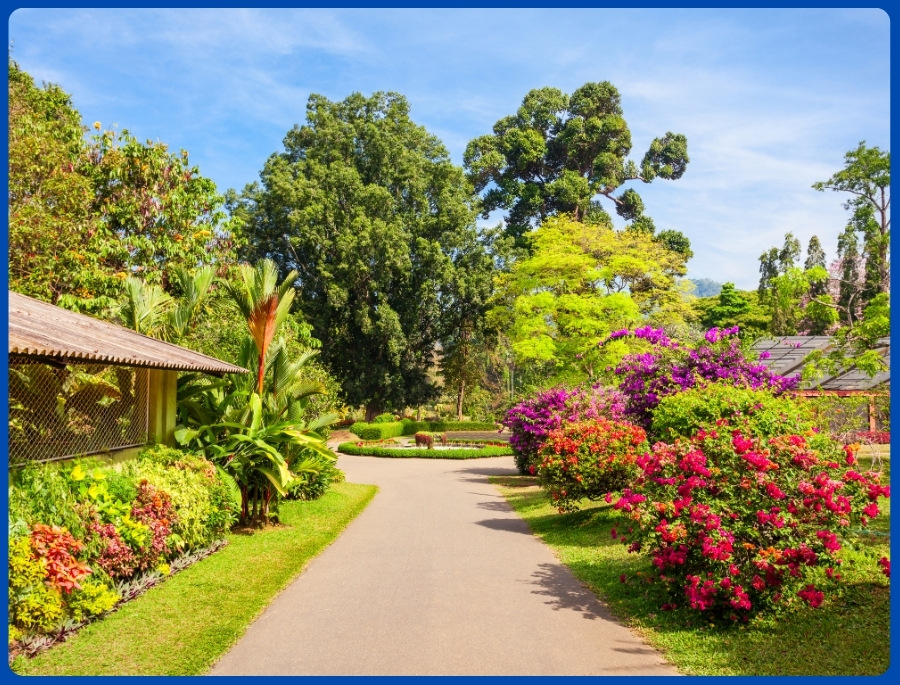 Royal Botanic Garden là nơi bảo tồn và trung bay nhiều loài thực vật quý hiếm