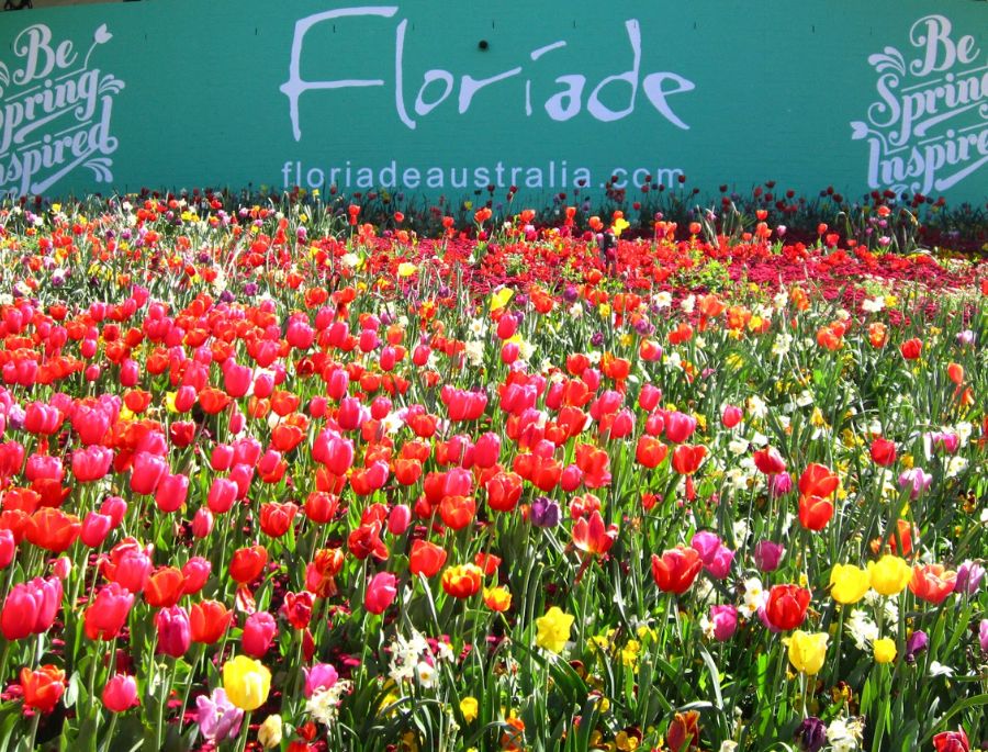 Floriade Festival - Lễ hội hoa mùa xuân lớn nhất tại nước Úc vào mùa xuân