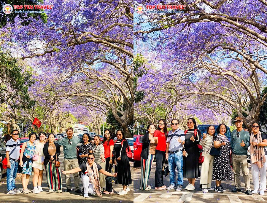 Những vị khách của nhà Top Ten Travel check in cùng hoa phượng tím rực rỡ