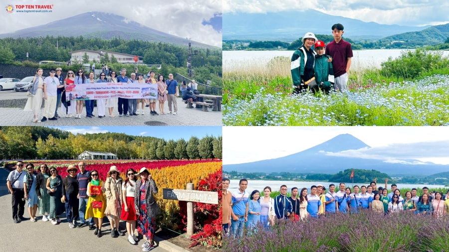Những tour du lịch Nhật Bản đến check-in các cánh đồng hoa mùa hè nổi tiếng tại nhà Top Ten Travel