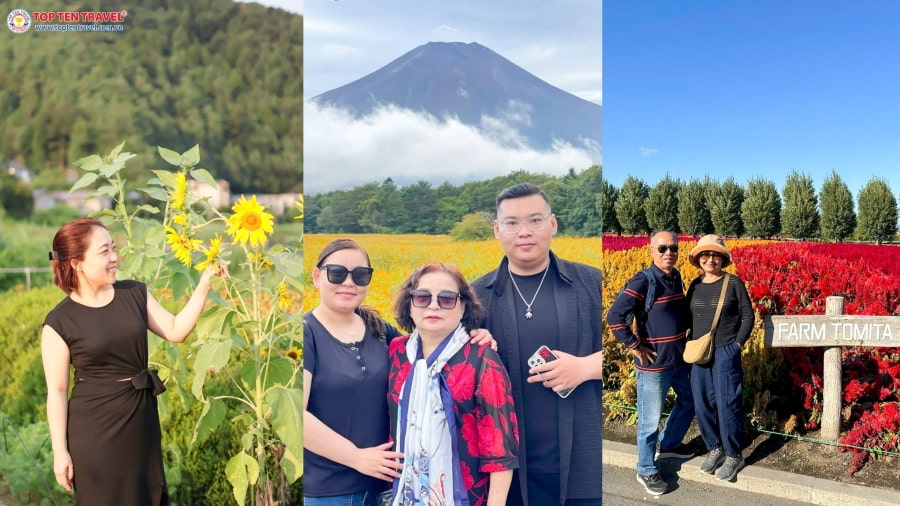 Những tour du lịch Nhật Bản đến check-in các cánh đồng hoa rực rỡ tại nhà Top Ten Travel