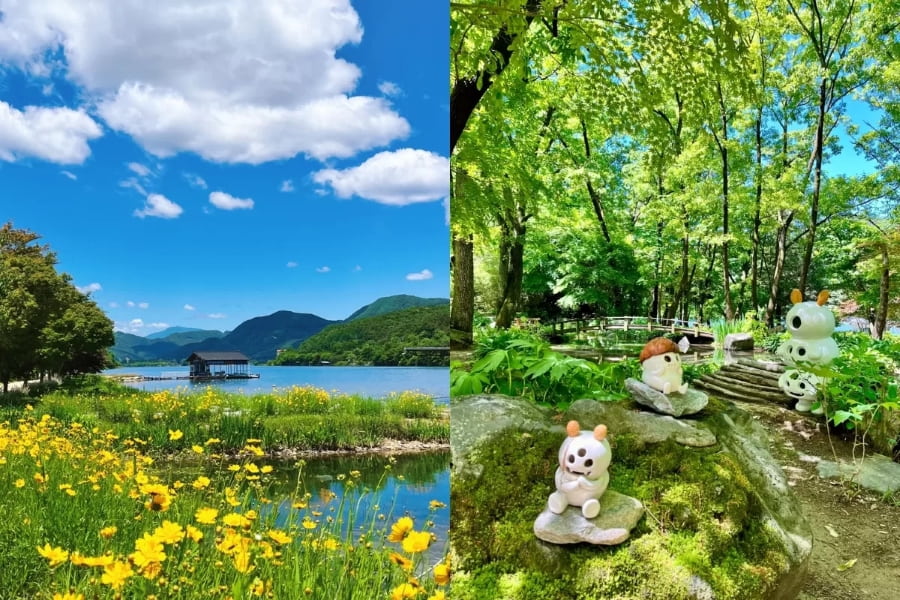 Đảo Nami như một thước phim cổ tích, đặc biệt quyến rũ vào những ngày hè xanh mát