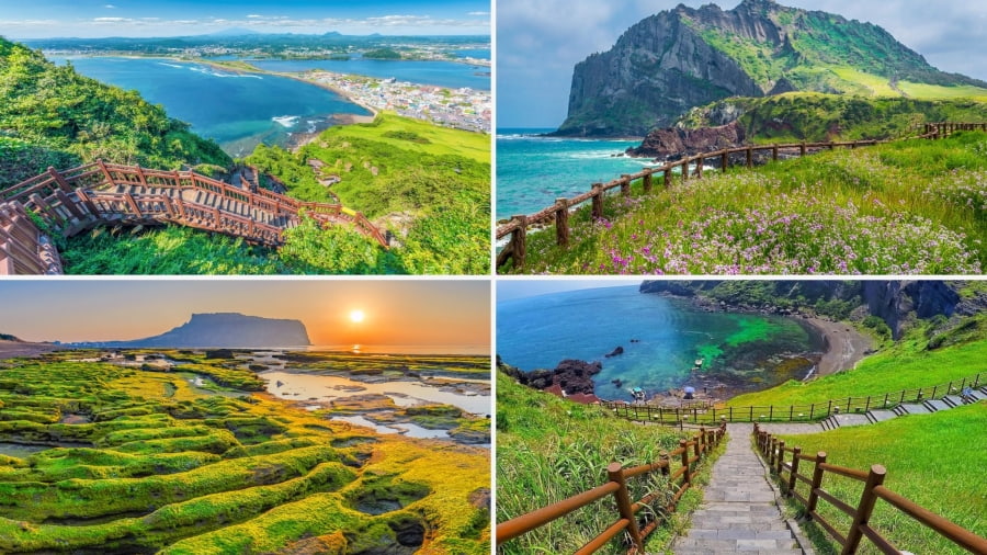 Jeju, hòn đảo nổi tiếng này hiện ra như một viên ngọc bích giữa đại dương, đặc biệt lộng lẫy dưới ánh nắng mùa hè