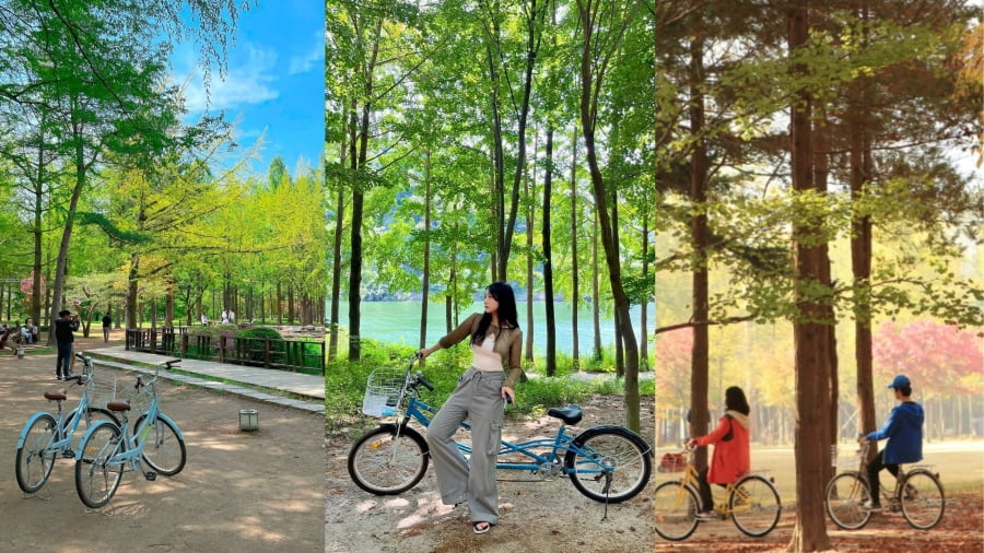 Xe đạp là một phương tiện di chuyển phổ biến tại đảo Nami