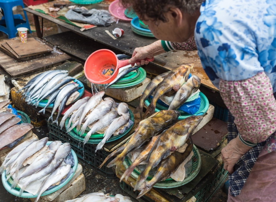 Chợ hải sản Jagalchi là một biểu tượng văn hóa đặc sắc của thành phố biển Busan