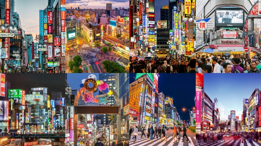 Dù chỉ có 1 ngày tại Tokyo nhưng với lịch trình hợp lý, bạn vẫn có thể lưu lại nhiều khoảnh khắc tuyệt vời và đáng nhớ