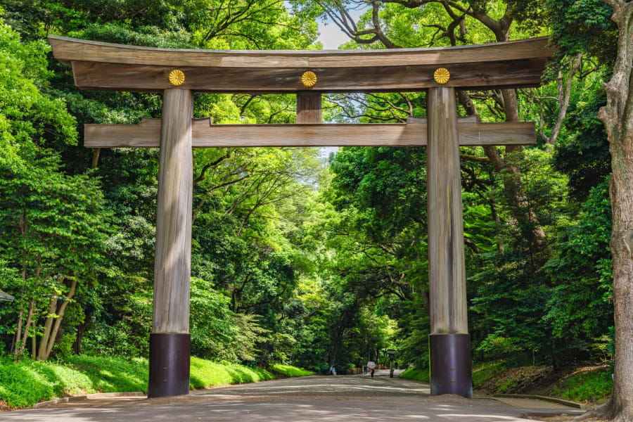 Sau khi trải nghiệm sự náo nhiệt và độc đáo của Harajuku, bạn có thể tìm đến sự thanh bình và tĩnh lặng tại Đền Meiji Jingu