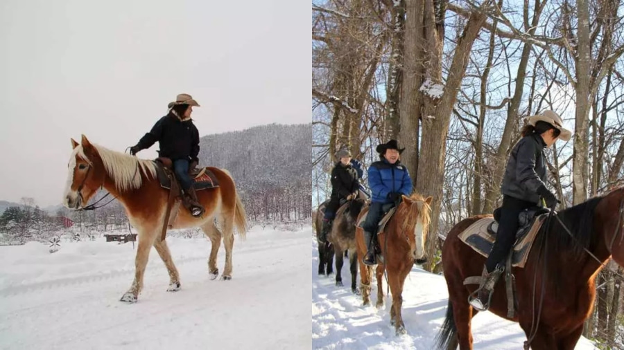 Cưỡi ngựa trên cánh đồng băng ở Tokachi là một trải nghiệm đầy thú vị tại Hokkaido