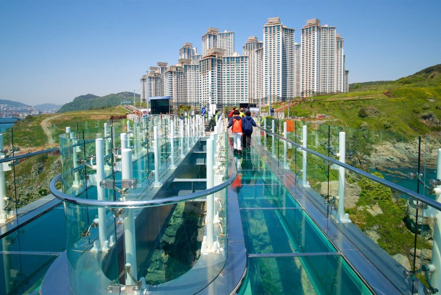 Góc nhìn từ phía đầu cầu kính Oryukdo Skywalk