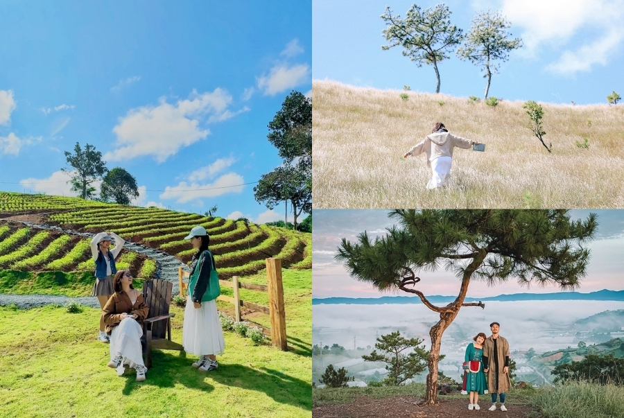 Đà Lạt hấp dẫn du khách bởi không khí mát mẻ, dễ chịu và cảnh quan tự nhiên tuyệt đẹp