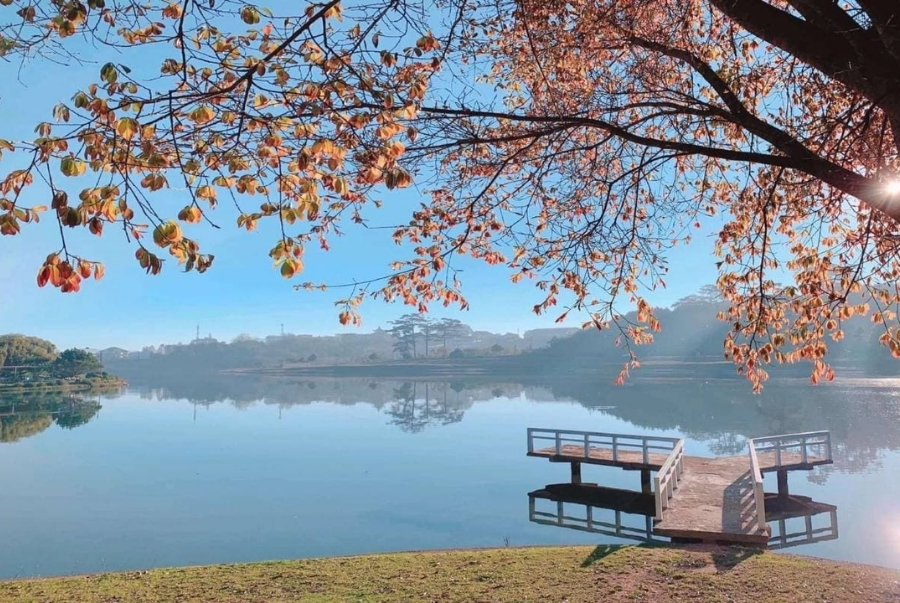 Hồ Xuân Hương từ lâu đã trở thành biểu tượng của du lịch Đà Lạt