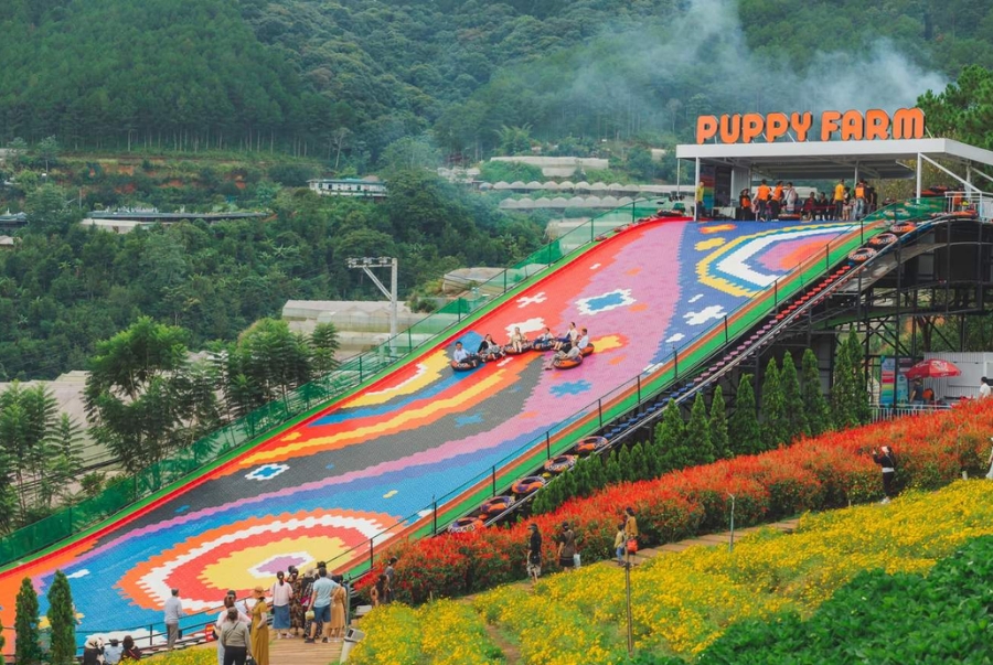 Trò chơi trượt phao khô là một hoạt động mà bất kỳ du khách nào đến Puppy Farm cũng không thể bỏ lỡ