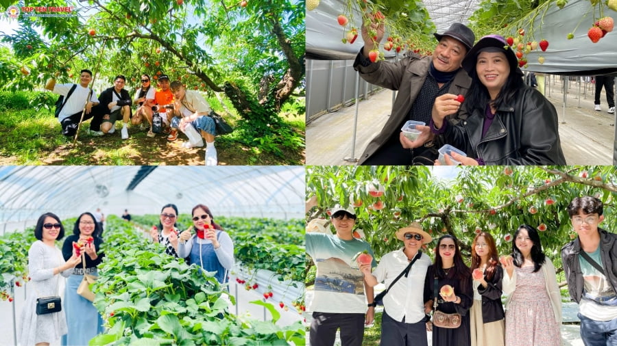 Du lịch Hàn Quốc mùa hè cùng Top Ten Travel có thể là một lựa chọn đáng cân nhắc dành cho bạn