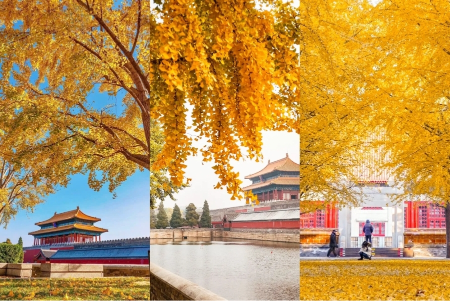 Những công viên trở thành điểm hẹn lý tưởng khi Bắc Kinh bước sang thu