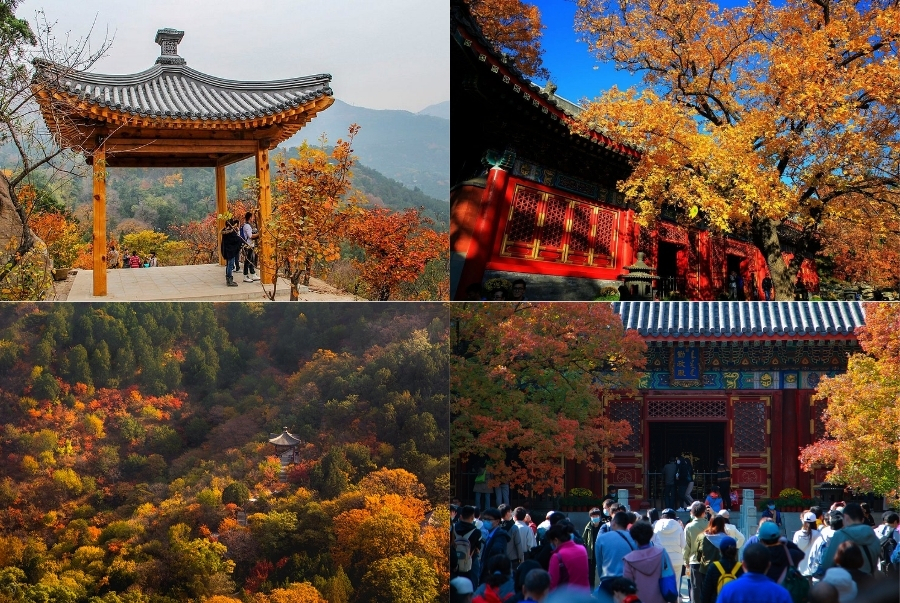 Công viên Hương Sơn trở thành thiên đường ngắm lá nổi tiếng mỗi độ thu sang