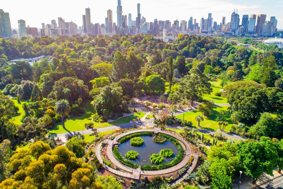 Royal Botanic Gardens là lá phổi xanh của Melbourne với hơn 8.500 loài thực vật