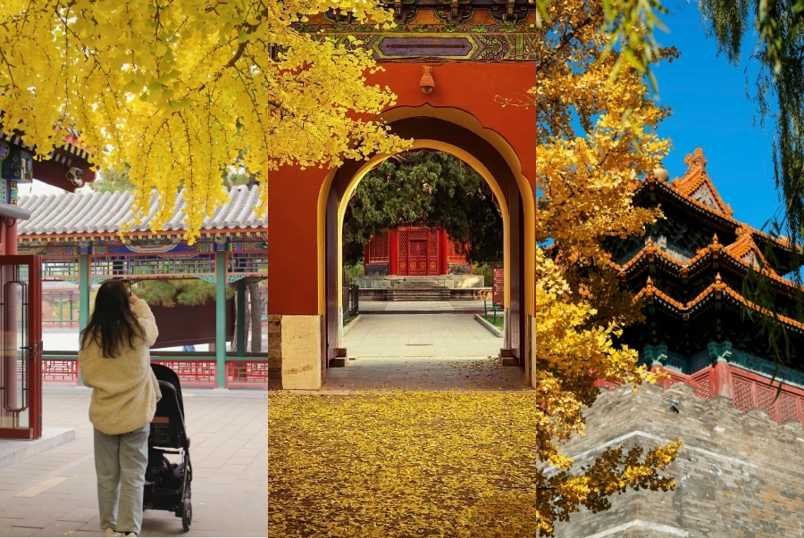 Đây là địa điểm chụp ảnh lý tưởng được nhiều du khách săn đón vào mùa thu