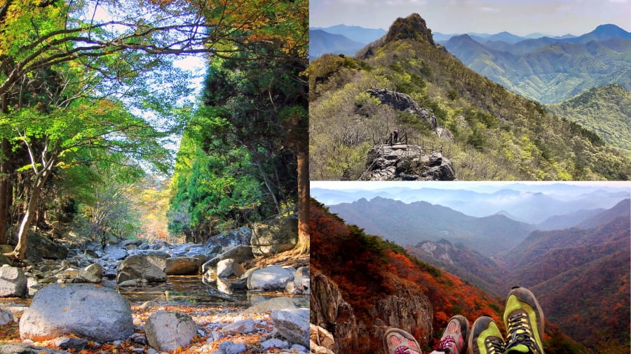 Núi Naejangsan từ lâu đã được biết đến là một trong những điểm đến du lịch Hàn Quốc hấp dẫn