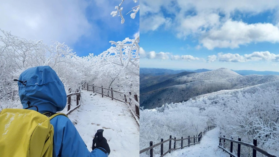 Núi Taebaeksan, với vẻ đẹp hùng vĩ và ý nghĩa lịch sử sâu sắc, là một trong những điểm đến không thể bỏ qua khi khám phá Hàn Quốc