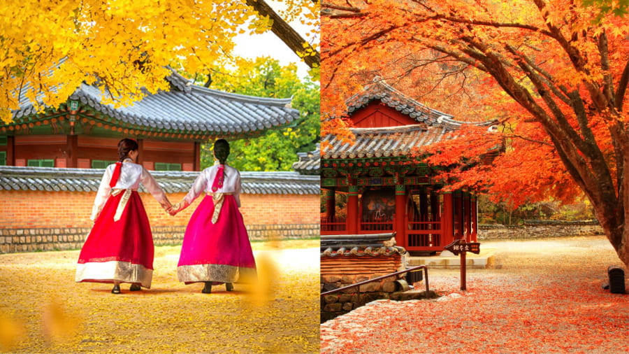 Con đường lá đỏ cung điện Deoksugung - Nét cổ kính giao hòa thiên nhiên