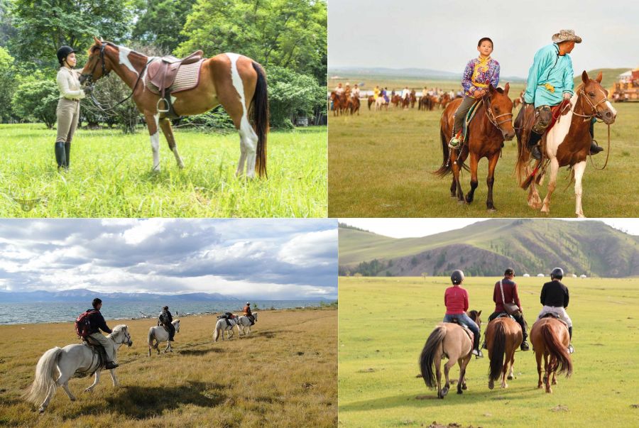 Việc thuê hướng dẫn viên địa phương là một sự lựa chọn hoàn hảo nếu du khách lần đầu cưỡi ngựa