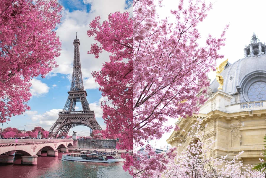 Nhiệt độ mùa xuân dao động khoảng từ 10 đến 20 độ