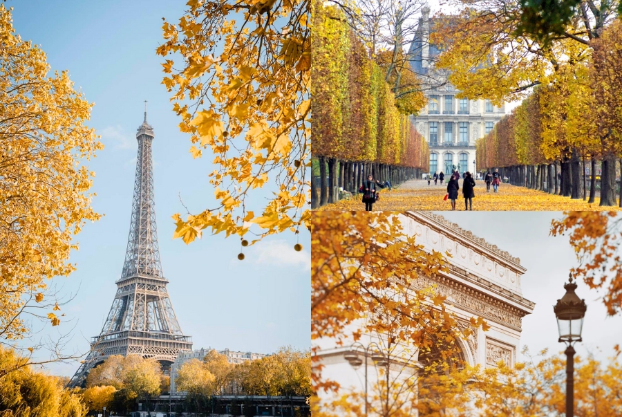 Cảnh quan mùa thu lãng mạn của Paris