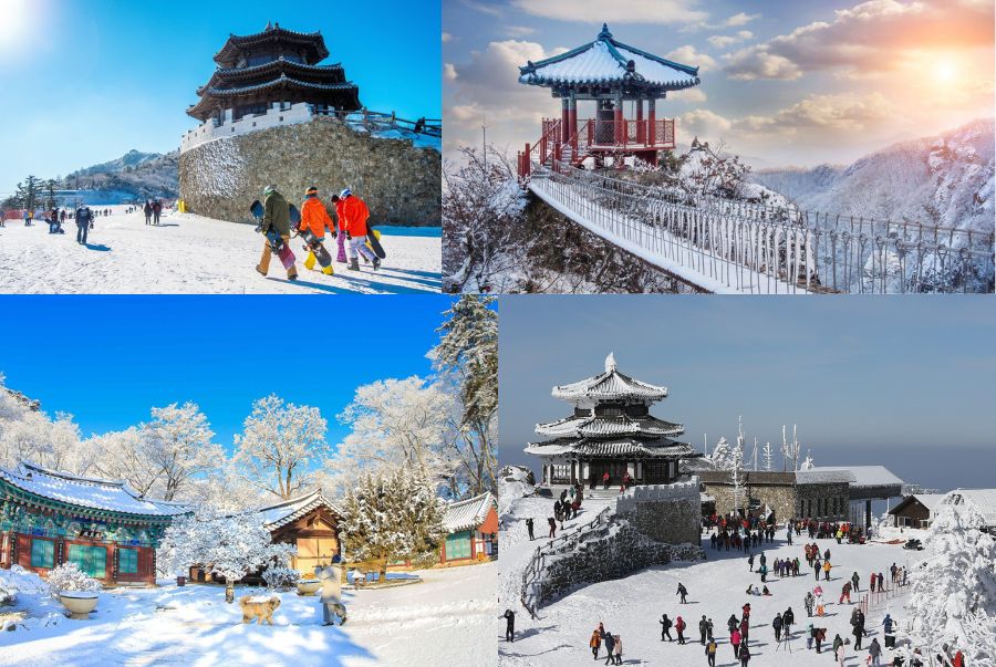 Thời tiết Hàn Quốc dịp tết mang đến nhiều chuyển biến thú vị giữa mùa đông và mùa xuân