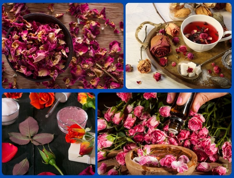 Hoa hồng khô được chế tác ra nhiều thành phẩm thú vị