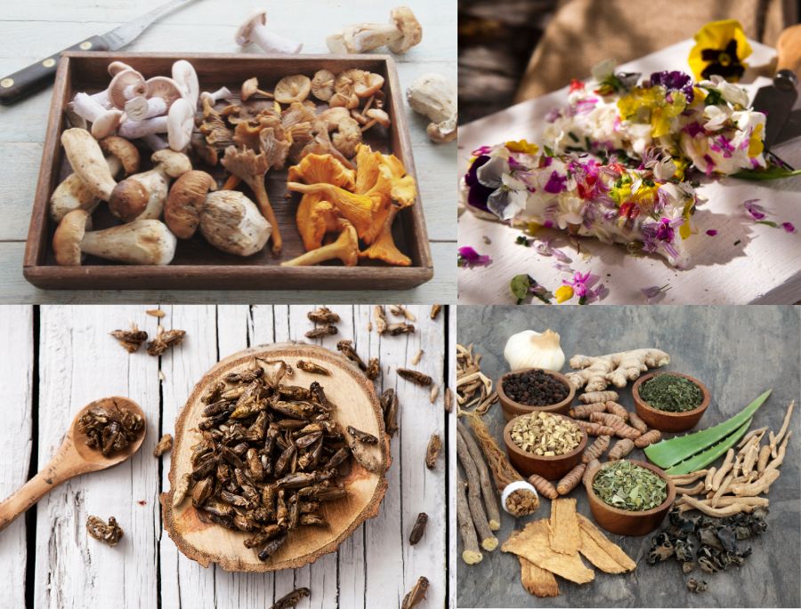 Một số các nguyên liệu mộc mạc, tự nhiên thường thấy ở Vân Nam Trung Quốc