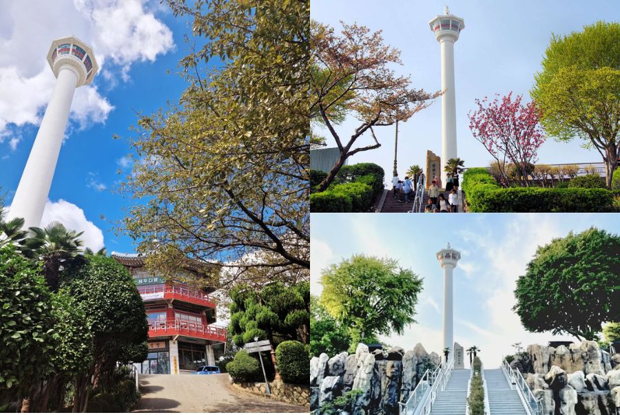Góc nhìn chiêm ngưỡng toàn cảnh Busan Tower