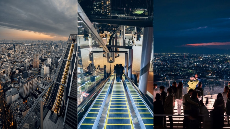 Đài quan sát Shibuya Sky là một điểm đến không thể bỏ lỡ khi bạn đặt chân đến Tokyo
