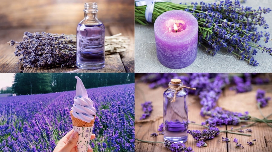 Bạn có thể dành thời gian thưởng thức các sản phẩm độc đáo từ hoa lavender