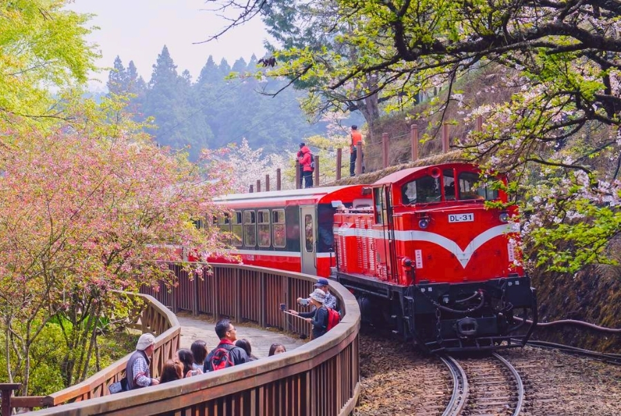 Đi tàu hoả Alishan Forest Railway là trải nghiệm mà bất kỳ du khách nào đến đây cũng đều phải thử